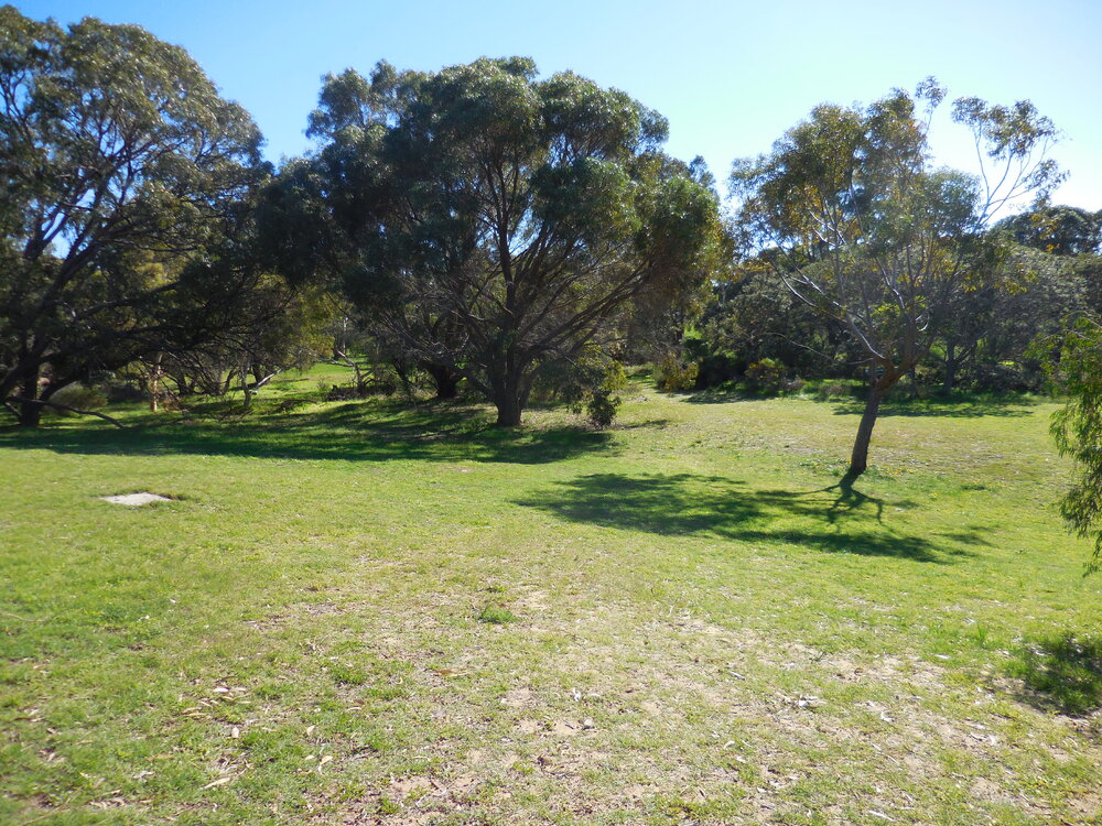 Herb Elliott Reserve with grass and trees