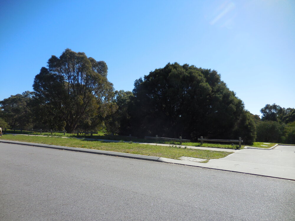 Herb Elliott Reserve with road in foreground
