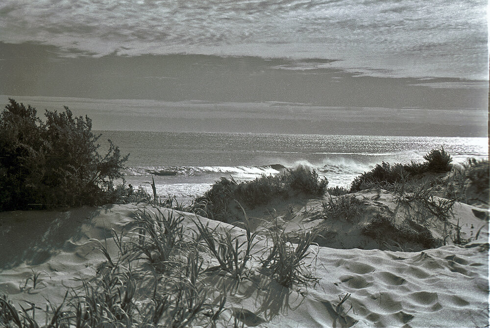 Trigg beach dunes