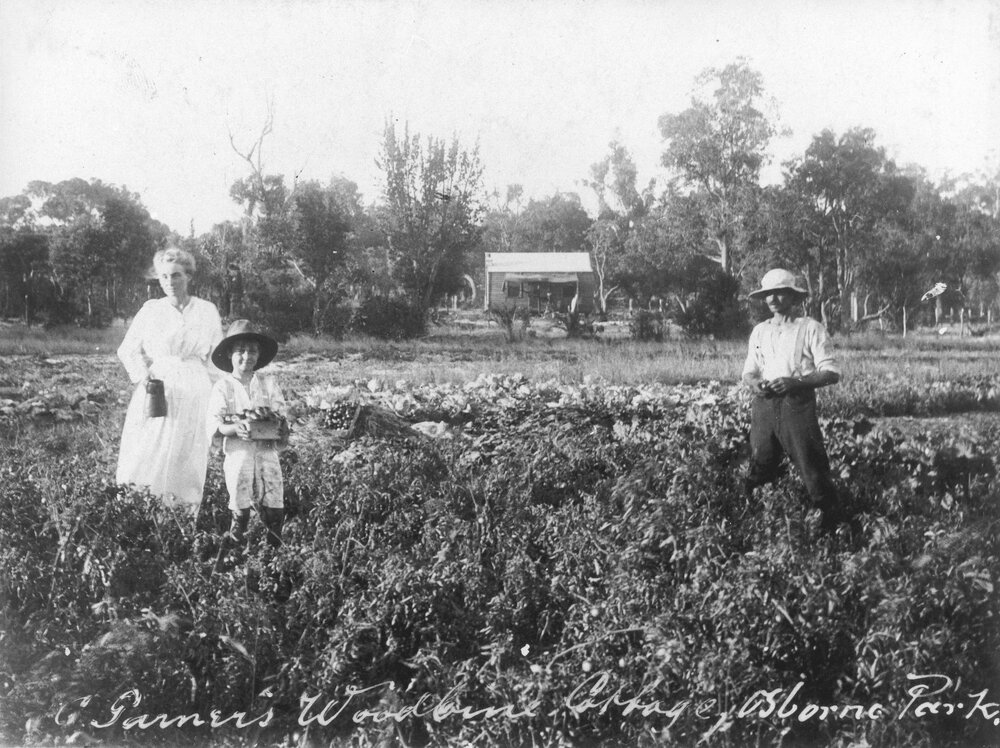 Woodbine Cottage market garden in Osborne Park