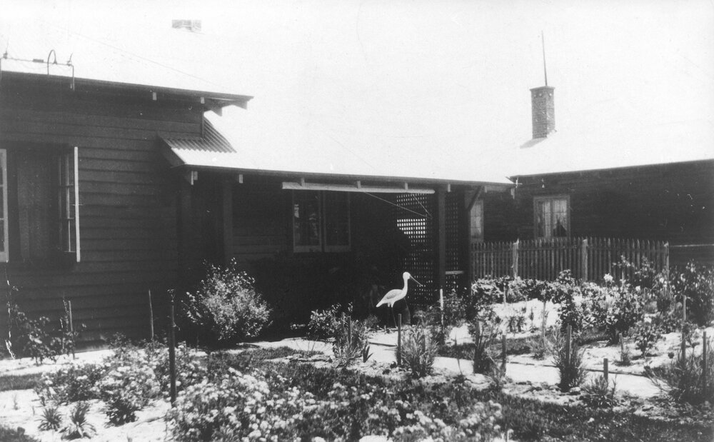 Woodbine Cottage at corner of Roberts Road and Waterloo Street in Osborne Park