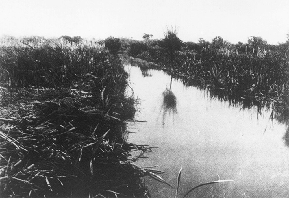 Njookenbooroo Drain in Innaloo