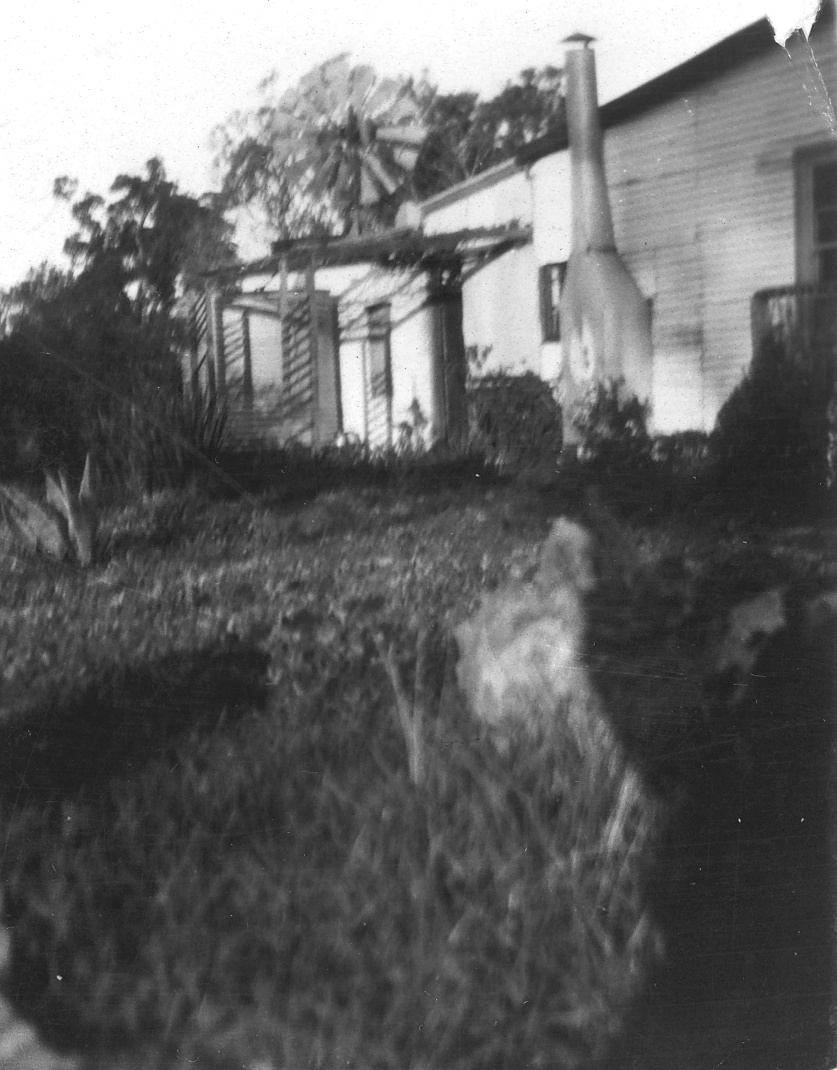 The Pratt family home in Innaloo