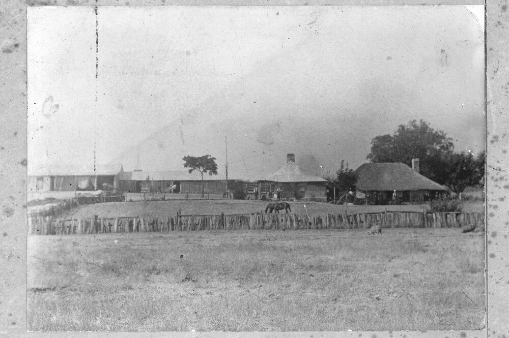 Wannerie Farm on the Moore River flats