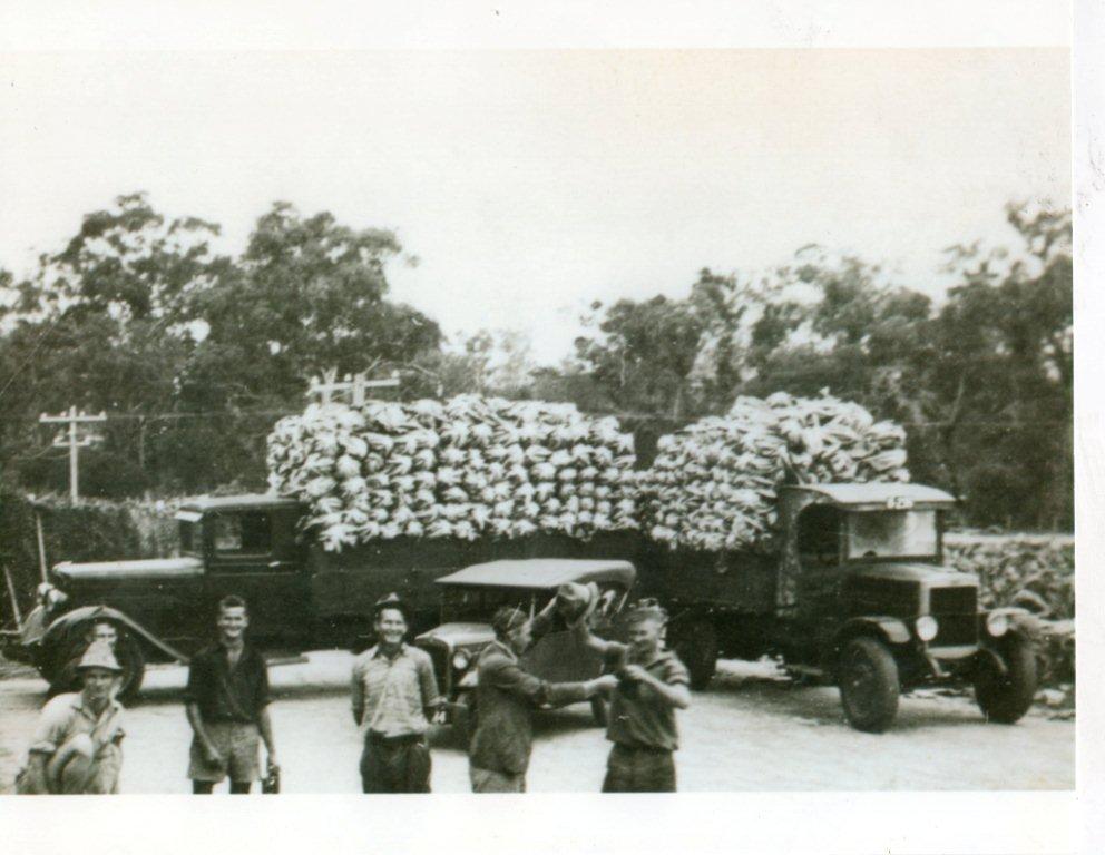Arbuckle trucks loaded with cauliflower for market