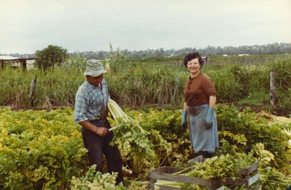 Pasquale and Elvira D'Ercole working the market garden