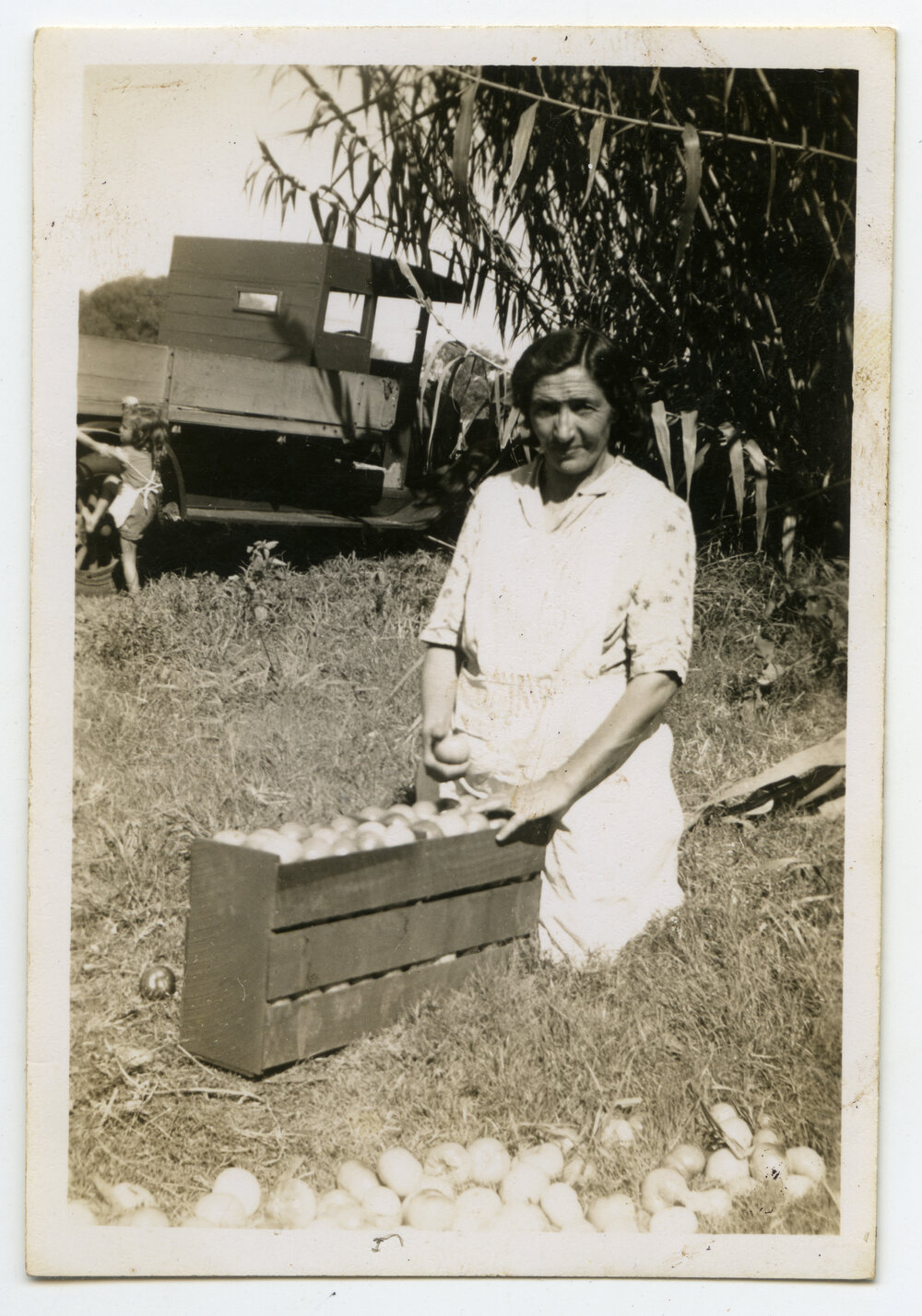 Market garden produce