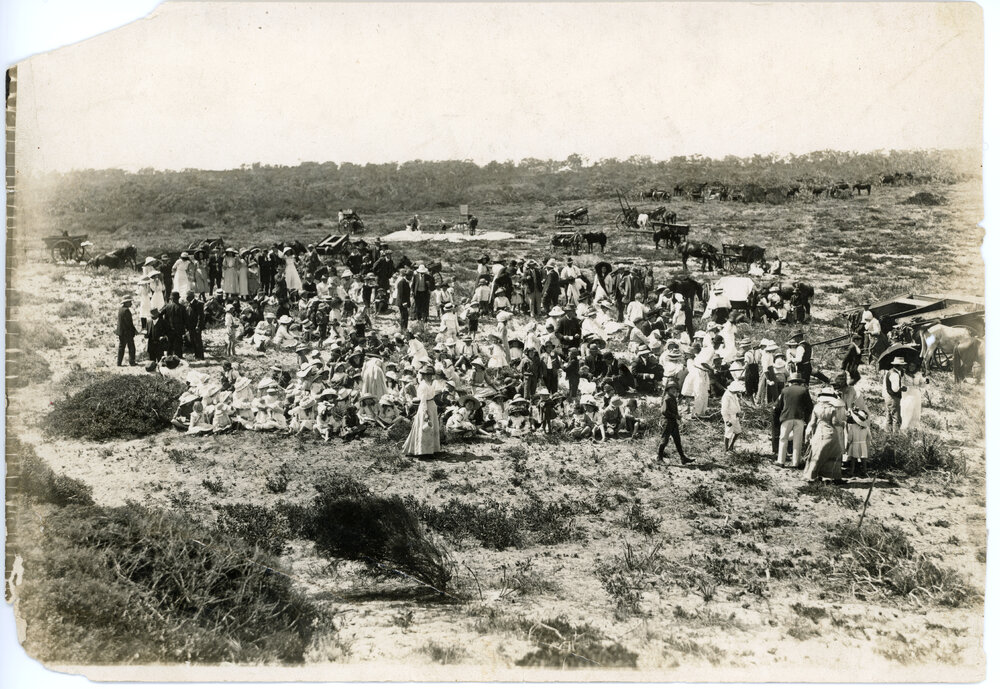 Osborne Park residents attend a picnic in Scarborough