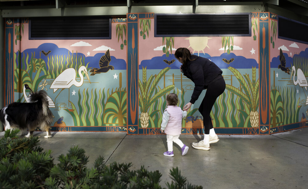 Lake Gwelup Animals and Plants by David Ledger and Joanne Clark