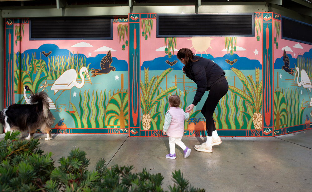 Lake Gwelup Animals and Plants by David Ledger and Joanne Clark