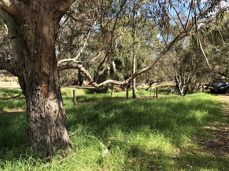 Settlers Cottage at Herdsman Lake taken from the outside