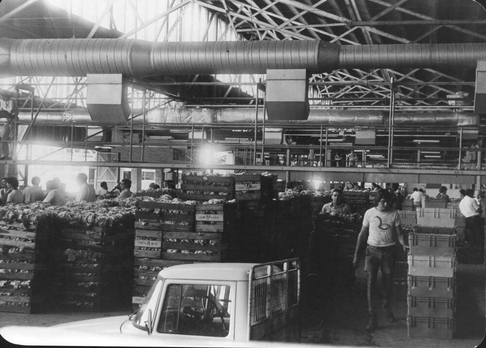Interior view of the Perth Markets