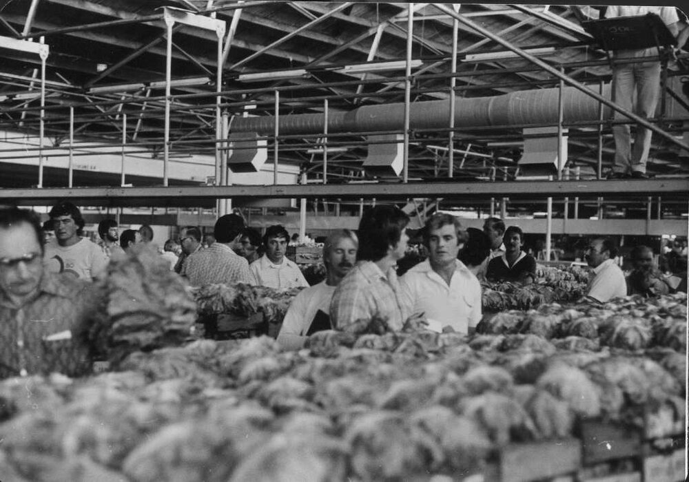 Interior view of Perth Markets with people looking at produce