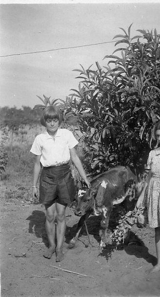 Mavis Schultz with a calf at the family property in Balcatta