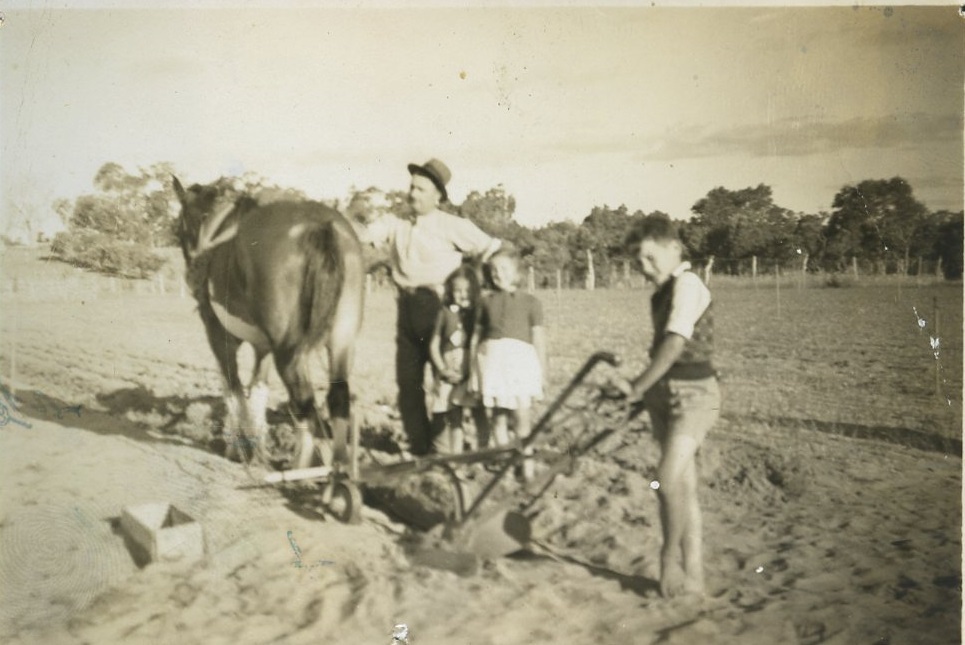 Bojanich family with horse and plough