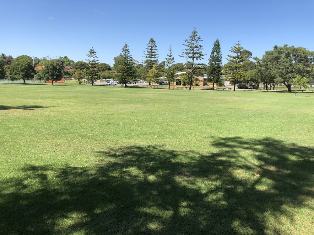 Alexander Park view