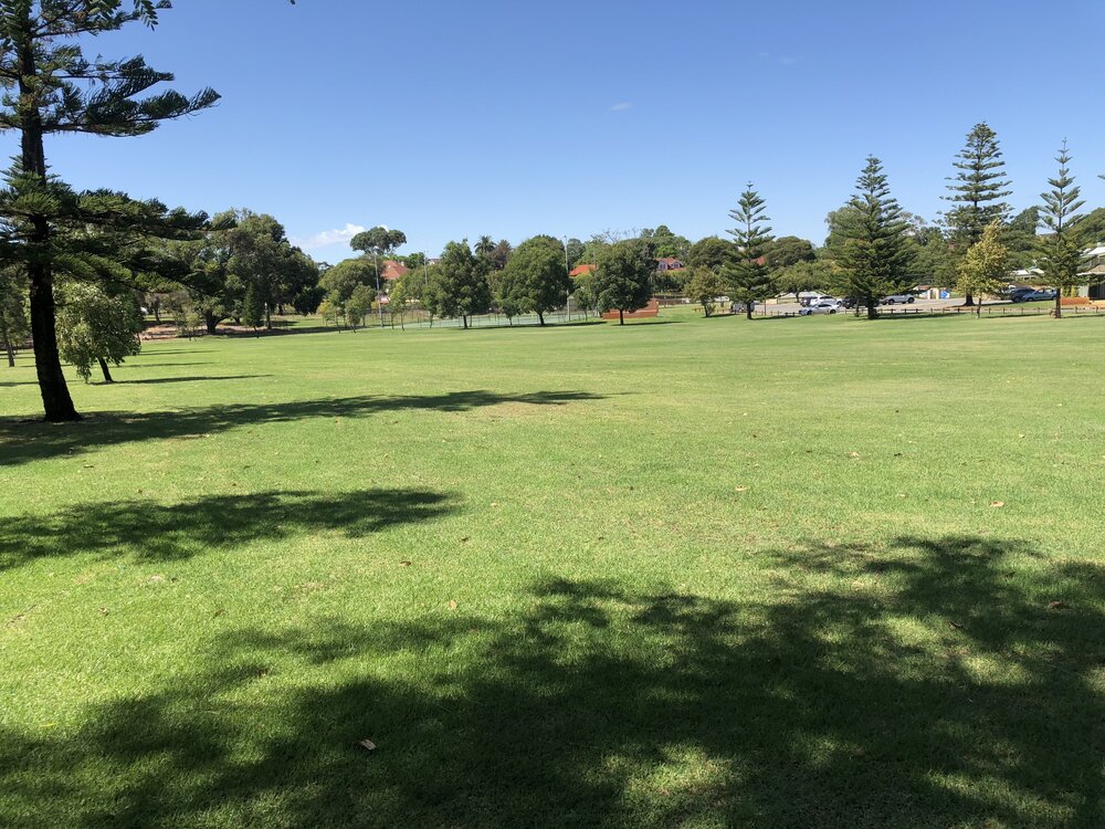 Alexander Park 