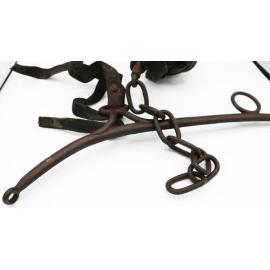 Hame and Trace (horse harness)