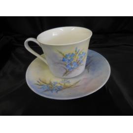 Ceramic teacup and saucer