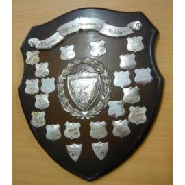 Taylors Sports Swimming Shield