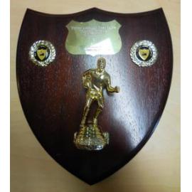 Western Australian Rugby League 1993 runner up shield