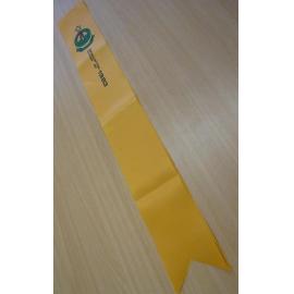 Scarborough Senior High School class of 1983 graduation sash 