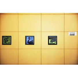 Water as Habitat by Jo Darbyshire