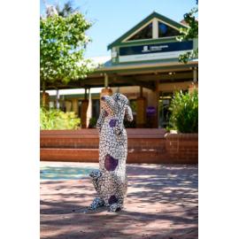 Heidi by Claire Bailey