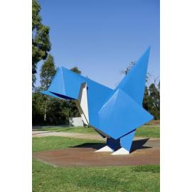 Splendid Wren by Brad Jackson