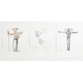 Lina Study I, II and III by Tony Jones