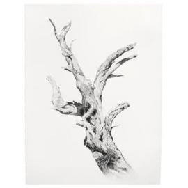 Dead Tree by Ross Potter