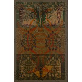 The Contagion by Aasiya Evans