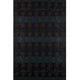 The Homeland by Aasiya Evans