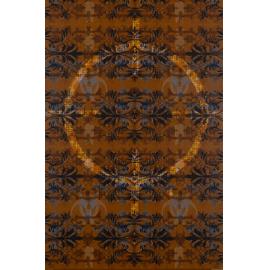 The Target by Aasiya Evans