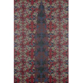 The Warfare by  Aasiya Evans