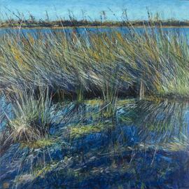 Sanctuary: Lake Gwelup by Narelle Higson