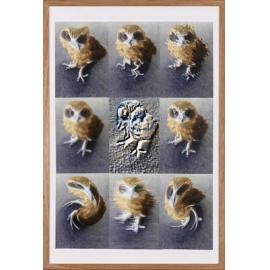 Warhol's Wisdom: Stunned Stirling Owl by Christian Manning