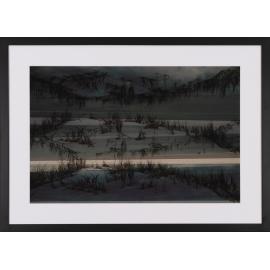 Hairy Spinifex at Peasholm by Shenade Unicomb