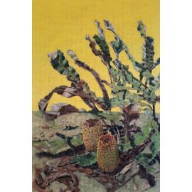 Proximity by Judy Rogers