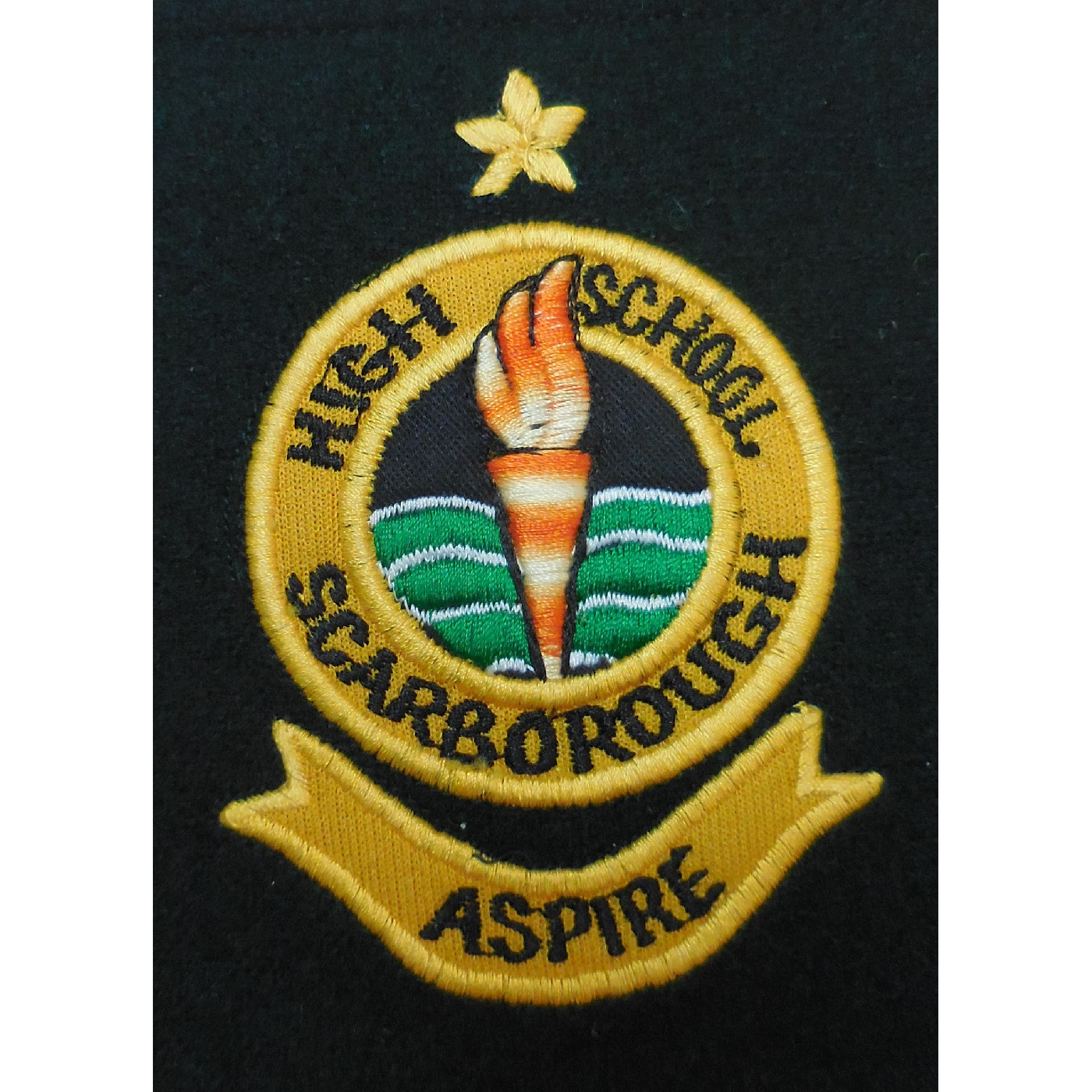 Scarborough Senior High School collection