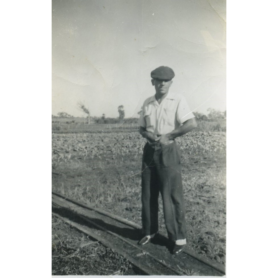 D'Ercole family collection