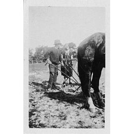 Bond family member with horse and plough