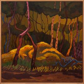 Little Forest Carine by Wendy Ferrier