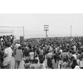 Bands playing at Surfin safari