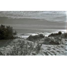 Trigg beach dunes