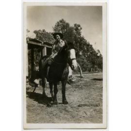 Shire horse in the market garden