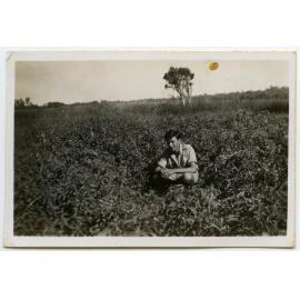 Bumper tomato crop