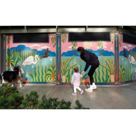 Lake Gwelup Animals and Plants by David Ledger and Joanne Clark