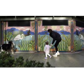 Lake Gwelup Animals and Plants by David Ledger and Joanne Clark