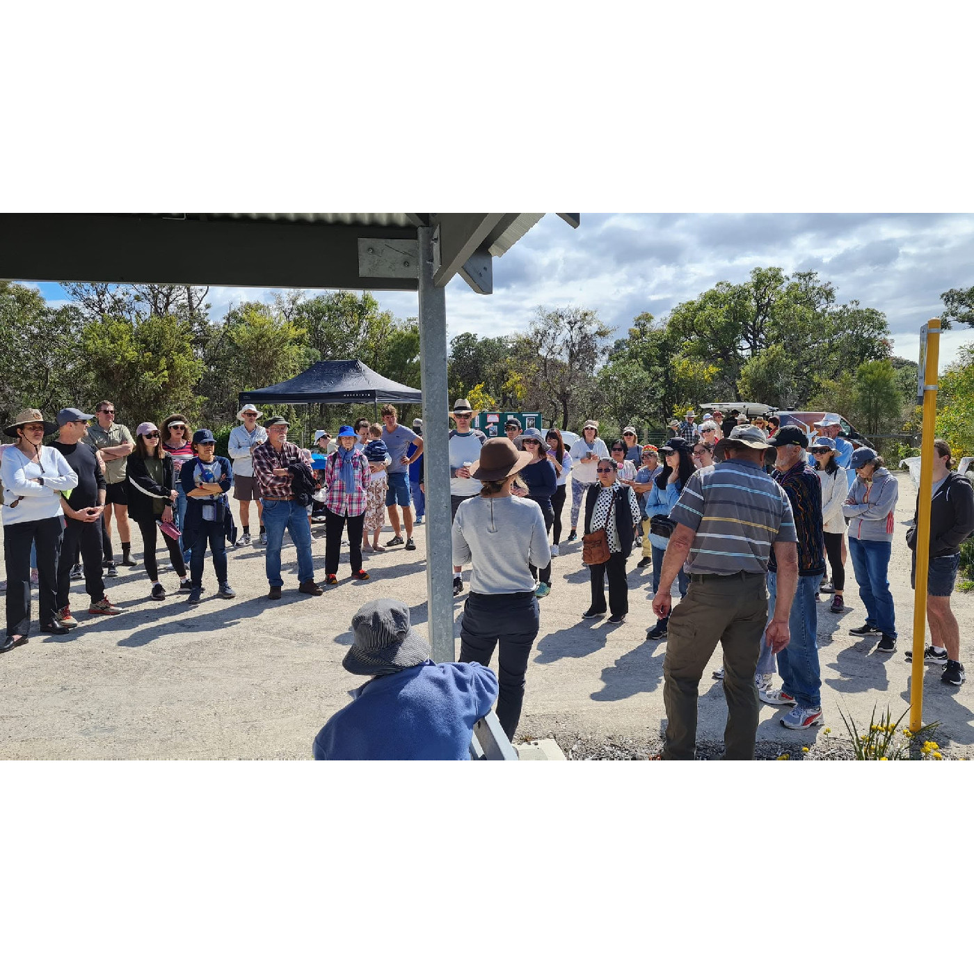 The friends of Dianella bushland